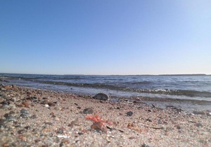 Komfortable-Ferienwohnung-in-Waabs-Ostsee-Damp-Eckernfoerde