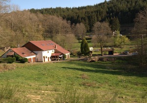 L'Ormont - 4 rooms 8 people