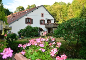 L'Ormont - 4 rooms 8 people
