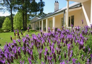 Lancemore Lindenderry Red Hill