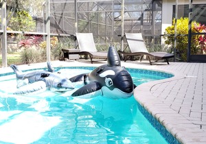 large 6/4 home, free pool heat, 3 miles to Disney