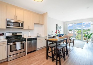 Lavish 1 bed Apt + Rooftop & Gym - Downtown Stamford