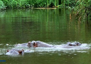 Legend Safaris - Kruger Park Lodge 257A