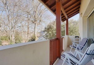 Les écureuils by Interhome