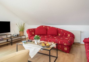 Light-Flooded Attic Apartment “Haus Schussenblick DG” with Wi-Fi, Terrace & Garden; Parking