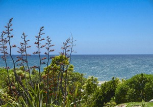 Lightning Ridge Retreat - Waimarama Holiday Home, KARAMEA