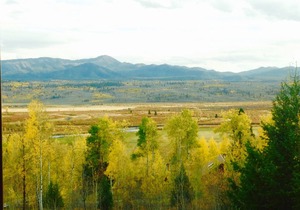 Log Home with View of the Buffalo Valley, Family Holiday Pricing Promotions