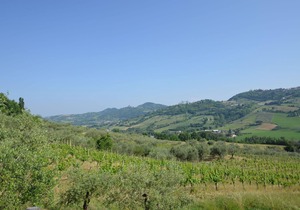Lovely Holiday Home with Pool in Monte Colombo