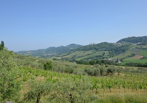 Lovely Holiday Home in Monte Colombo on Farm