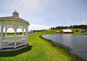 Lucky Bear Lakeside