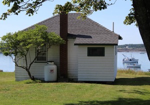 Lupine Seaside Cottage above Shoreline with Gorgeous Views