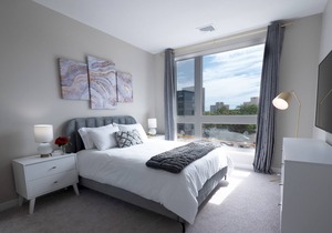 Luxurious 2BR - 2Bath W/ Gym | Downtown at Yale