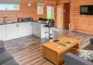 Luxurious and contemporary Finnish log lodge, perfect for a relaxing break away with your pet(s).