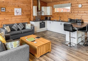 Luxurious and contemporary Finnish log lodge, perfect for a relaxing break away with your pet(s).