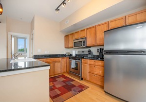 Luxurious Ludington Condo