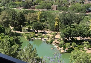 Luxury condo in the heart of the Roosevelt District in downtown Phoenix