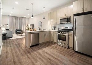 Luxury Furnished Apartments by Hyatus Downtown at Yale