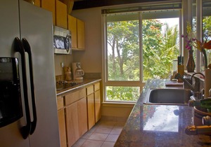 Luxury tropical comfortable resort condo in pedestrian/golf/ocean community