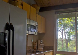 Luxury tropical comfortable resort condo in pedestrian/golf/ocean community