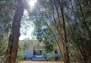 Magnificent four bedroom beach house with direct access to Diamond Beach.