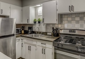 Main Street downtown Royal Oak Apartment