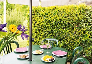 Maison ensoleillée et rustique pour 8