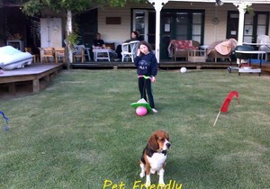 Mandurah Riverfront Holiday Rental - Own Mooring