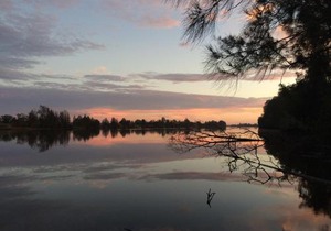 Mansfield on the Manning