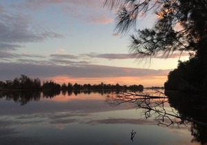 Mansfield on the Manning-Grevillea Cabin (2)