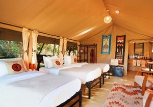 Mara Eden Safari Camp