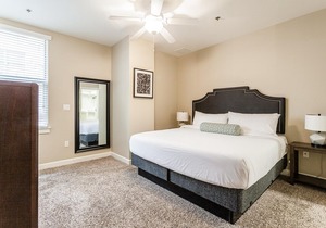 Memphis | Executive 1BD/1BA Apartment