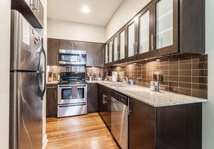 Memphis | Executive 1BD/1BA Apartment