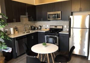 Michigan avenue 2br2ba with Optional parking 303