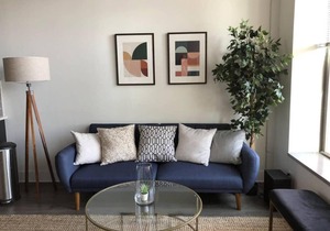 Michigan avenue modern 2br/2ba with optional Parking 504
