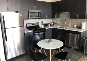 Michigan avenue modern 2br/2ba with optional Parking 504