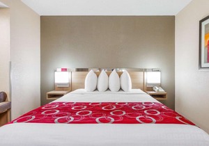 Microtel Inn by Wyndham Charleston South