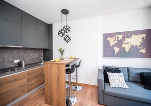 Modern and Bright Apartment- Main Street