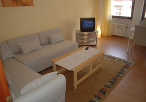 modern and comfortable apartment in Heidelberg