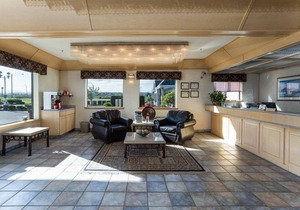 Modern and Comfy Unit, Near Attractions, Pool and Sauna