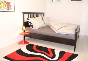 Modern apartment in the heart of Lower Franconia