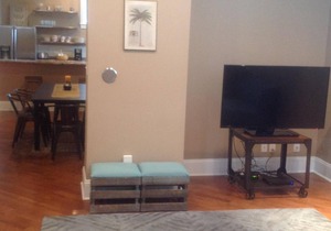 Modern, Loft-like unit in the Historic Tower Grove Area