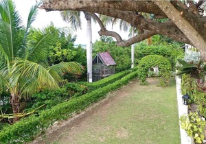 Montego Bay Best Kept Secret 1 B/R Apartments - Block C, Unit1