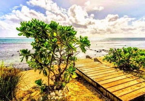 MOOREA - Fare Taina Iti et Nui