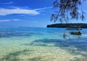 MOOREA - Local Spirit 4