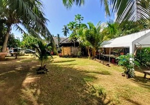 MOOREA - Local Spirit 6