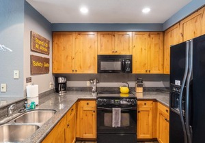 Morning Eagle Lodge Unit 202: Ski-In/Ski-Out with Roof Top Hot Tub
