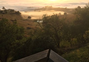Mount View Lodges - Hunter Valley - 1 Bed