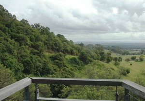 Mount View Lodges - Hunter Valley - 1 Bed