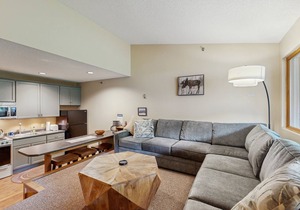 Mountain condo w/shared indoor hot tub & pool - ski-in/ski-out access