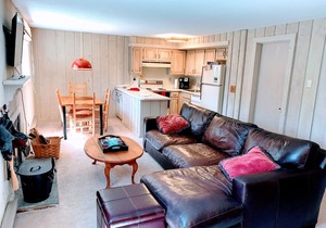 MT SNOW | SKI BACK TRAIL | FREE SHUTTLE - Green Mountain Den
